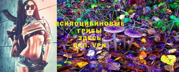 твердый Белоозёрский